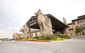 Grapevine Texas Great Wolf Lodge